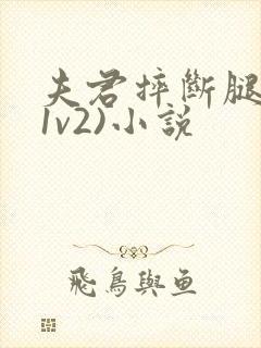 夫君摔断腿后(1v2)小说封面