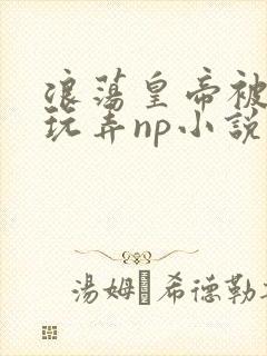 浪荡皇帝被多人玩弄np小说封面