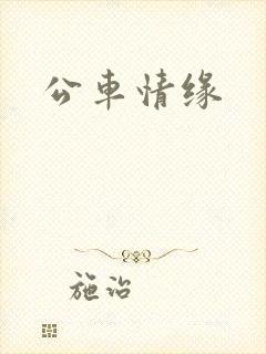 公车情缘封面