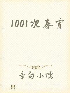 1001次春宵封面