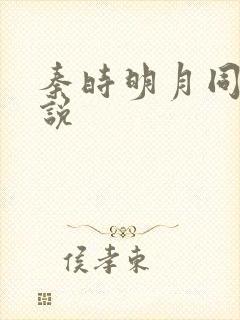 秦时明月同人小说封面