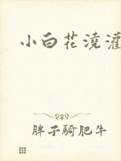 小白花浇灌日常封面