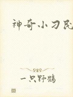 神奇小刁民