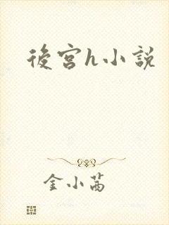 后宫h小说封面