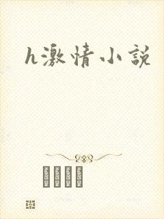 h激情小说封面