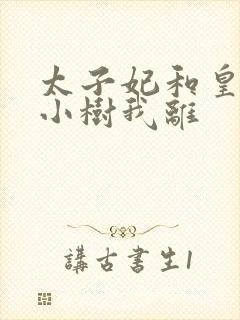 太子妃和皇上在小树我离封面
