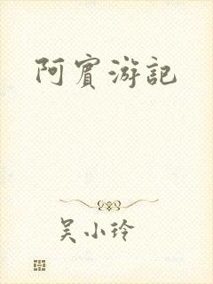 阿宾游记封面