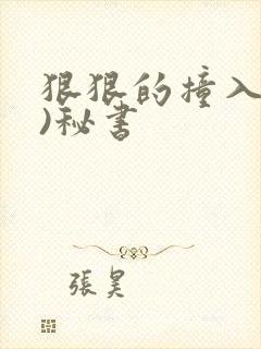 狠狠的撞入(h)秘书