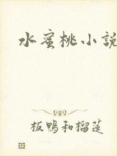 水蜜桃小说