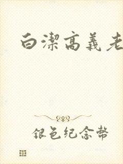 白洁高义老七封面