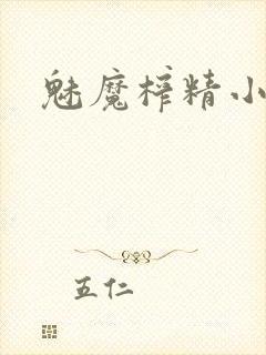 魅魔榨精小说