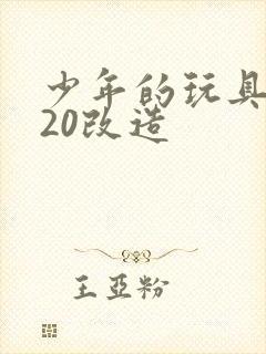 少年的玩具1一20改造