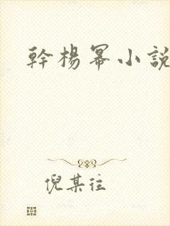 干杨幂小说