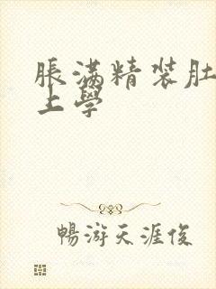 胀满精装肚子去上学封面