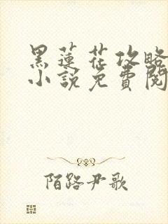 黑莲花攻略手册小说免费阅读