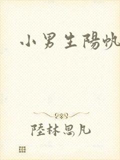 小男生阳帆
