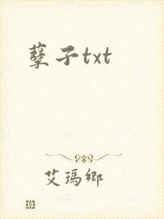 孽子txt封面