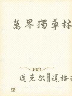 万界独尊林枫