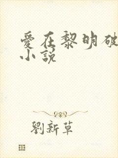 爱在黎明破晓前小说封面