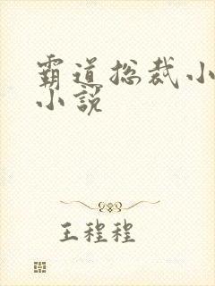 霸道总裁小娇妻小说