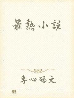 最热小说