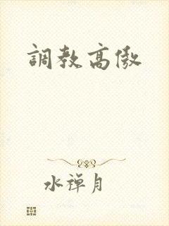 调教高傲封面