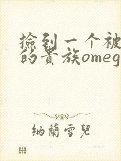 捡到一个被抹布的贵族omega封面