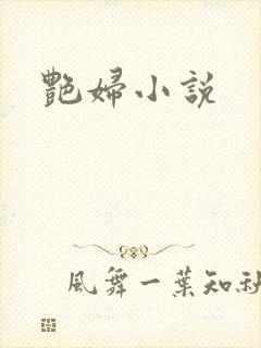 艳妇小说