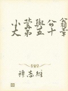 小莹与公翁熄粗大第五十章封面