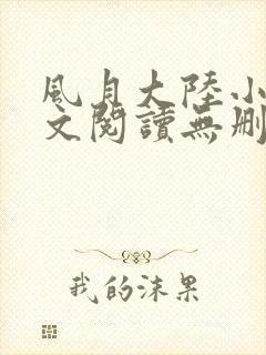 风月大陆小说全文阅读无删减