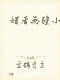 媚者无疆小说封面
