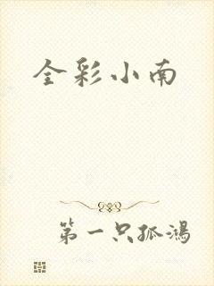 全彩小南