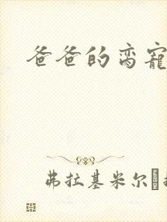 爸爸的脔宠封面