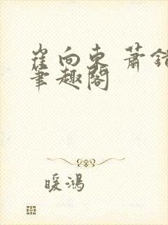 崔向东 萧错 笔趣阁