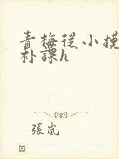 青梅从小摸到大补课h封面