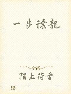 一步徐龙封面