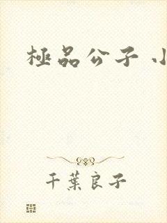 极品公子 小说