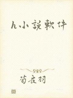 h小说软件封面