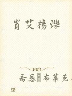 肖艾杨烁