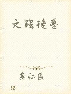 文强后台