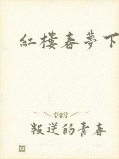 红楼春梦下载封面