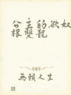 公主的欲奴h四根双龙