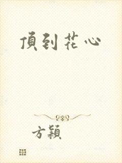 顶到花心封面