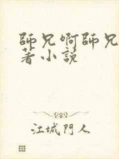 师兄啊师兄的原著小说封面