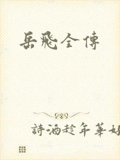 岳飞全传封面