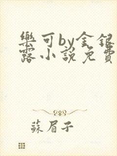乐可by金银花露小说免费阅读封面