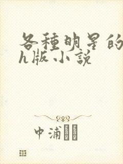 各种明星的综艺h版小说