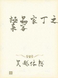 极品家丁之远方来客