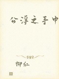 公浮之手中字5