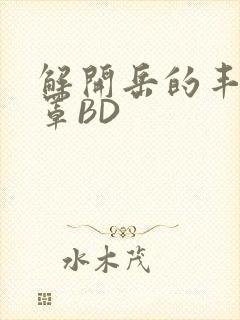 解开岳的丰满奶罩BD封面
